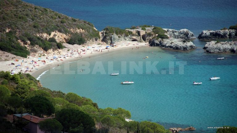 Laconella, Isola d'Elba