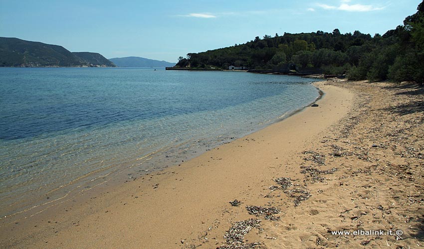Spiaggia di Galenzana - Isola d'Elba