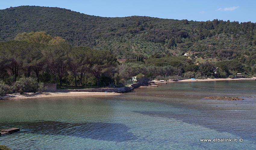 Spiaggia di Galenzana - Isola d'Elba