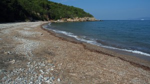 Spiaggia di Cala del Telegrafo o Fornacelle - Isola d'Elba