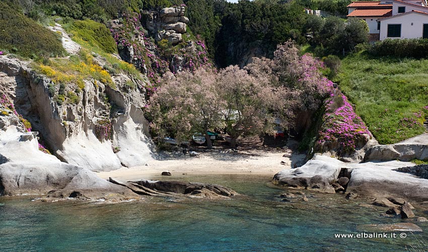 Spiaggia del Cotoncello - Isola d'Elba