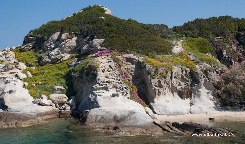 Spiaggia del Cotoncello - Isola d'Elba