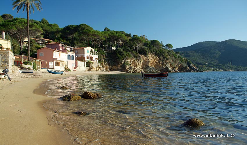 Spiaggia del Forno - Isola d'Elba