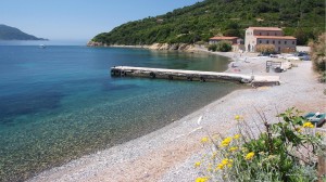 Spiaggia dell'Enfola - Isola d'Elba