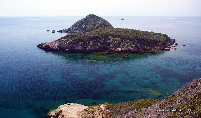 Isolotti Gemini - Isola d'Elba