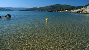 Spiaggia delle Calanchiole - Isola d'Elba