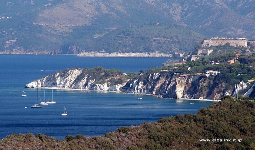 Spiaggia di Capo Bianco - Isola d'Elba