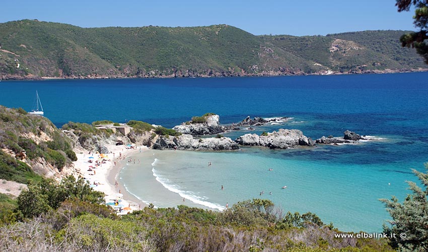 Spiaggia di Laconella - Isola d'Elba