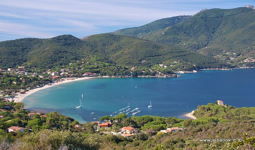 Spiaggia di Procchio - Isola d'Elba