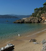 Spiaggia di Zuccale - Isola d'Elba