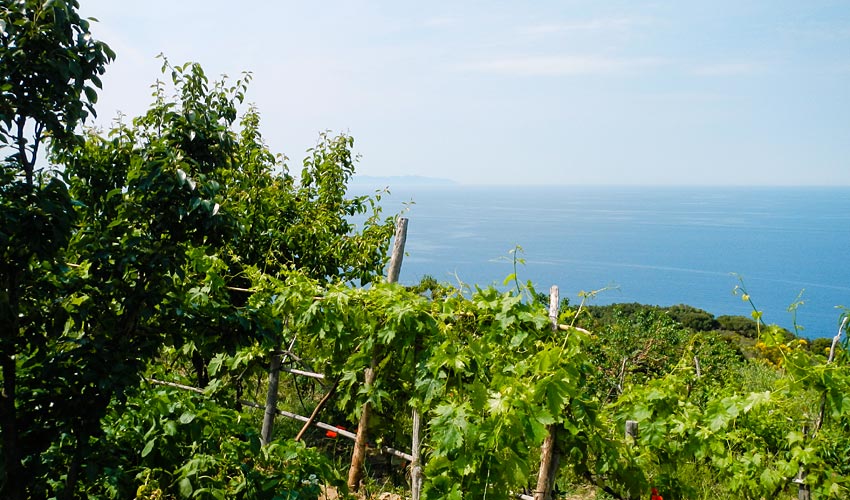 Casa Vigna Maria, Isola d'Elba