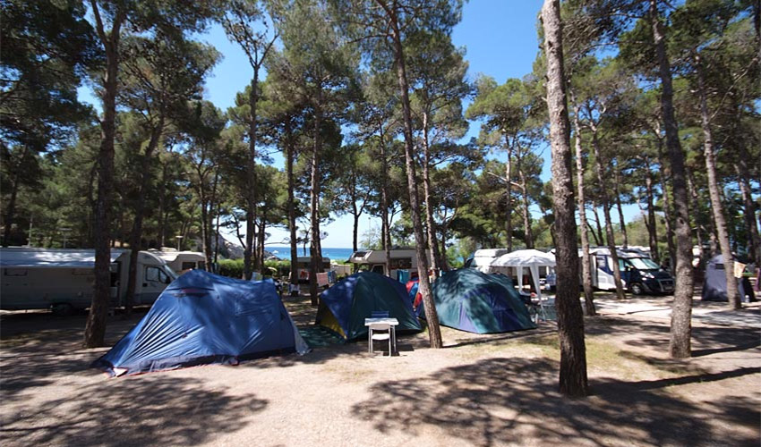 Camping Europa, Elba