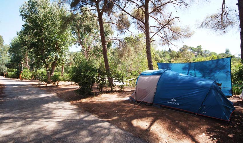 Camping Reale, Elba