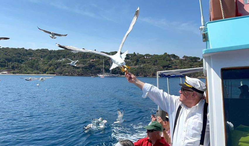 Motobarca Il Dollaro II, Elba