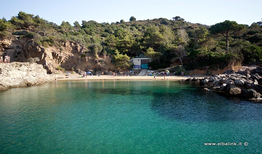 Spiaggia del Felciaio, Elba