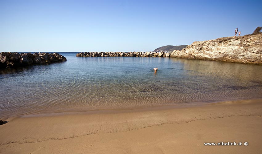 Spiaggia del Felciaio, Elba