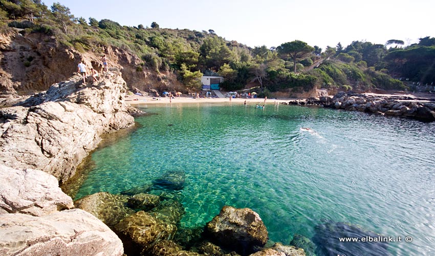 Spiaggia del Felciaio, Elba