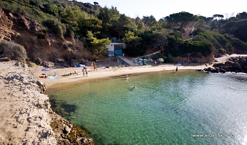 Spiaggia del Felciaio, Elba