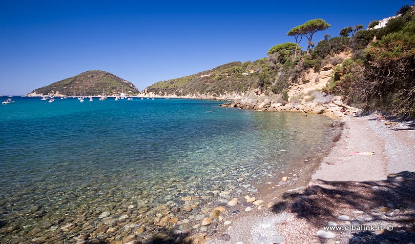 Spiaggia delle Alghe, Elba