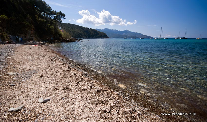 Spiaggia delle Alghe, Elba