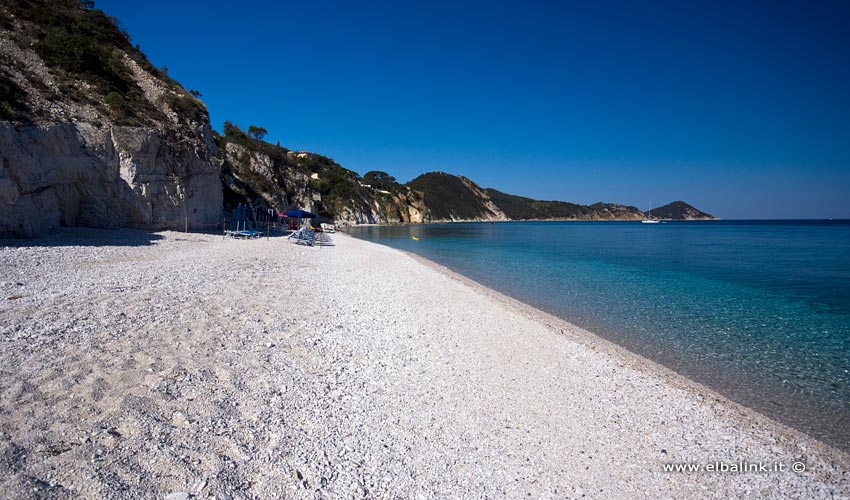 Spiaggia di Capo Bianco, Elba