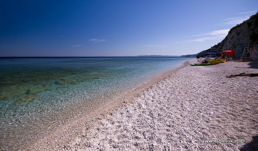 Spiaggia di Capo Bianco, Elba