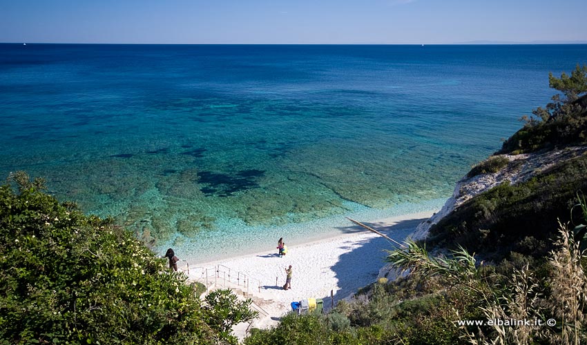 Spiaggia di Capo Bianco, Elba