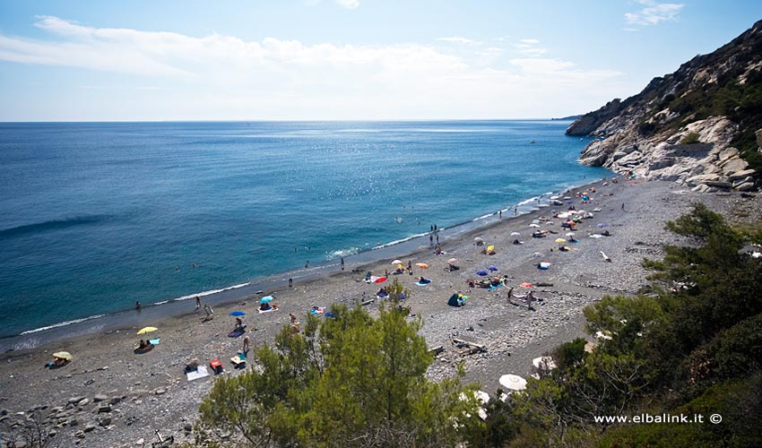 Spiaggia di Colle Palombaia, Elba