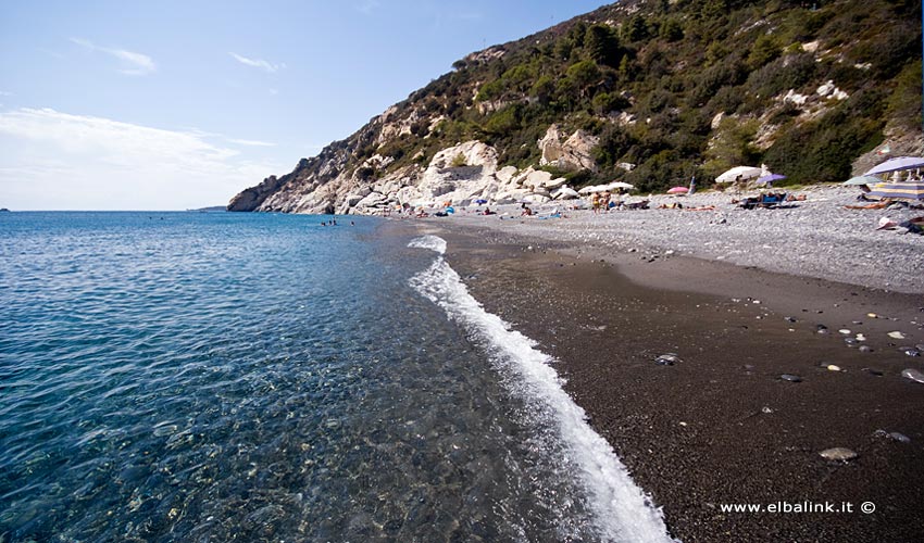 Spiaggia di Colle Palombaia, Elba