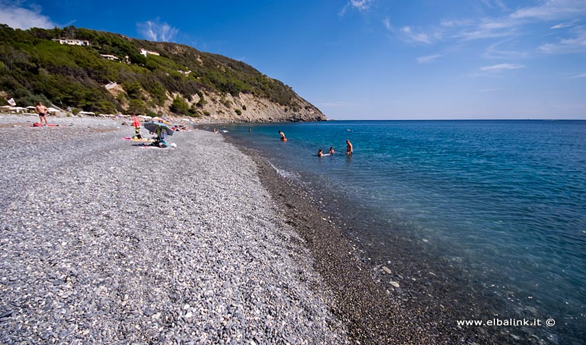 Spiaggia di Colle Palombaia, Elba