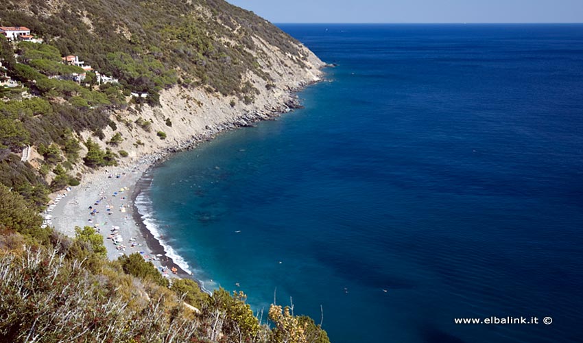 Spiaggia di Colle Palombaia, Elba