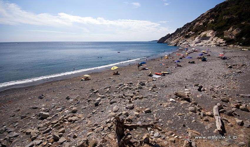 Spiaggia di Colle Palombaia, Elba