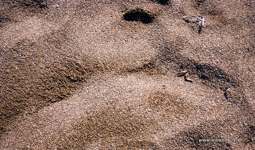 Spiaggia di Morcone, Elba