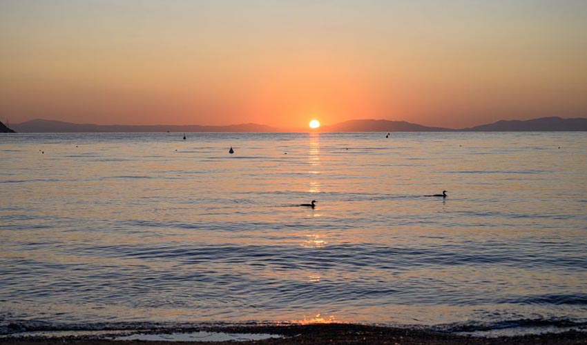 Spiaggia di Naregno, Elba