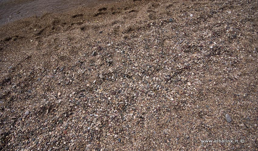 Spiaggia di Reale, Elba