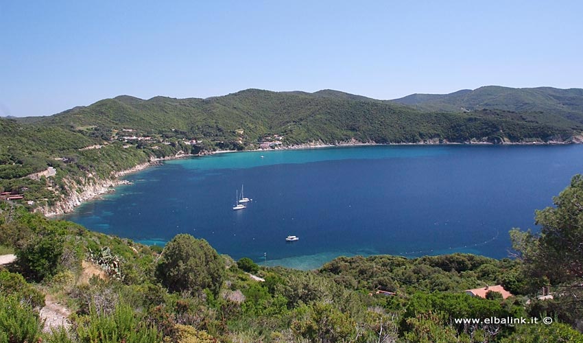 Spiaggia del Viticcio, Elba