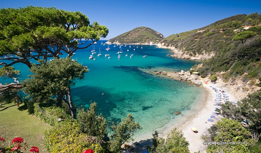 Spiaggia del Viticcio, Elba