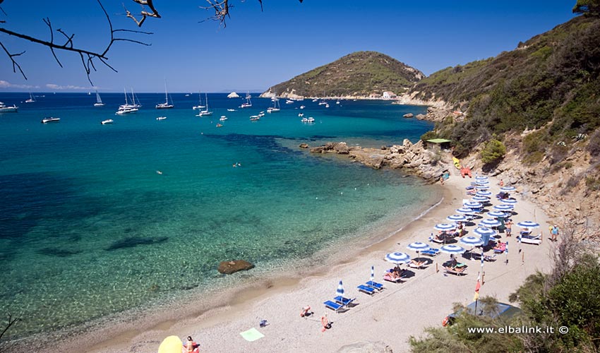 Spiaggia del Viticcio, Elba