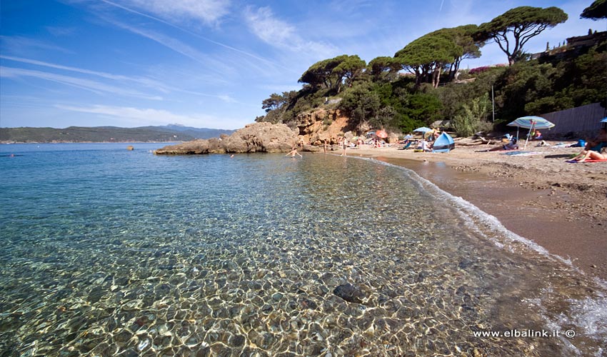 Spiaggia di Zuccale, Elba