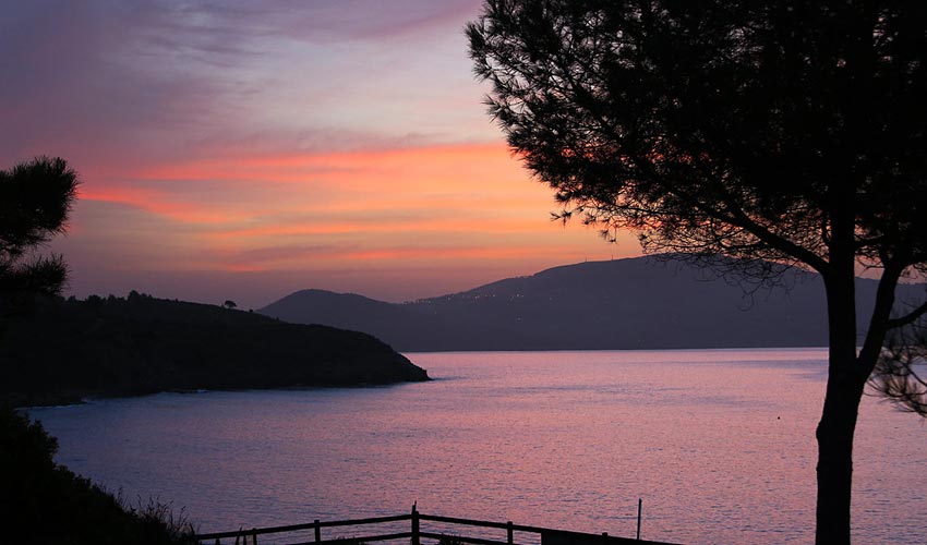 hotel capo sud lacona elba